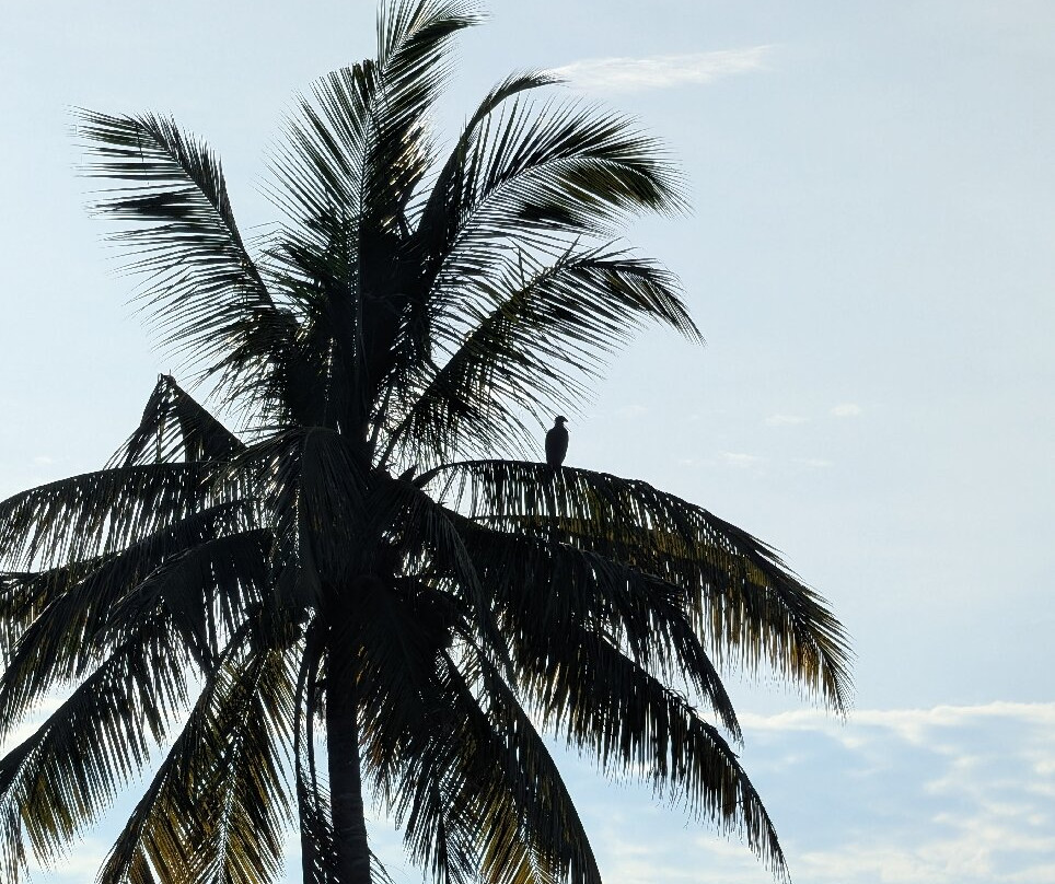 Dn Tours Hambantota Sri Lanka-Hambantota必去景点