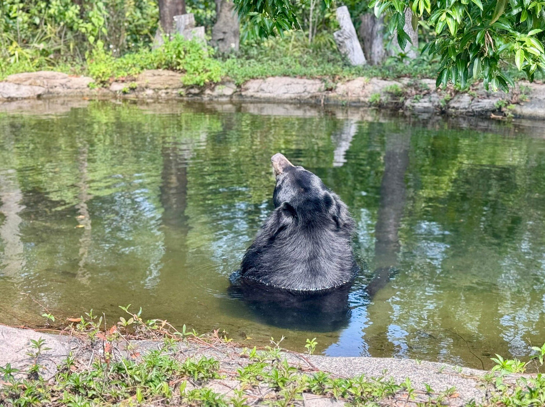 珍珠王国野生动物园-富国岛必去景点