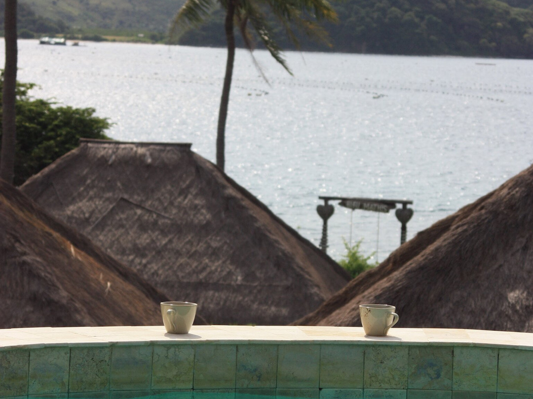 布鲁马蒂斯吉利阿萨汉主图