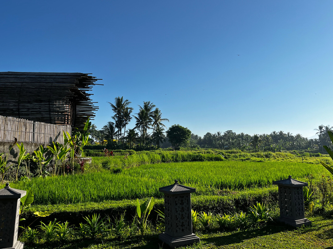 乌布蜂房酒店主图