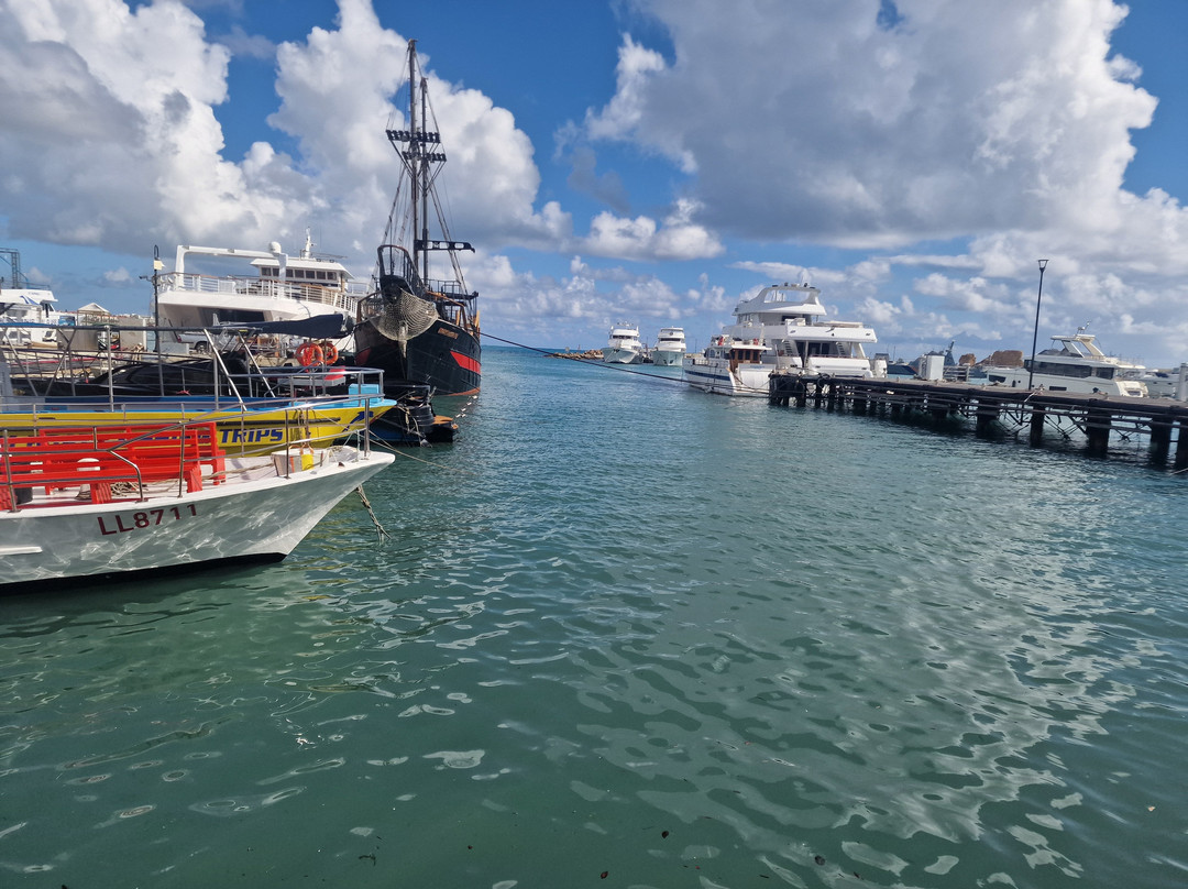 Paphos Harbour and Port-帕福斯必去景点