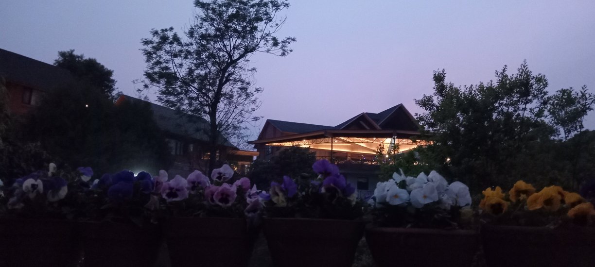 杜利凯尔山私人有限度假村-旅行者