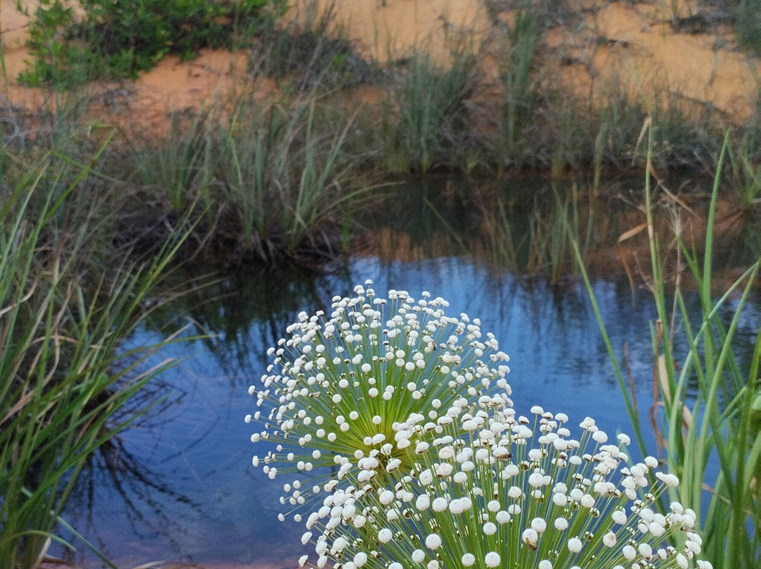 JALAPOEIROS ECOTOUR-Mateiros必去景点