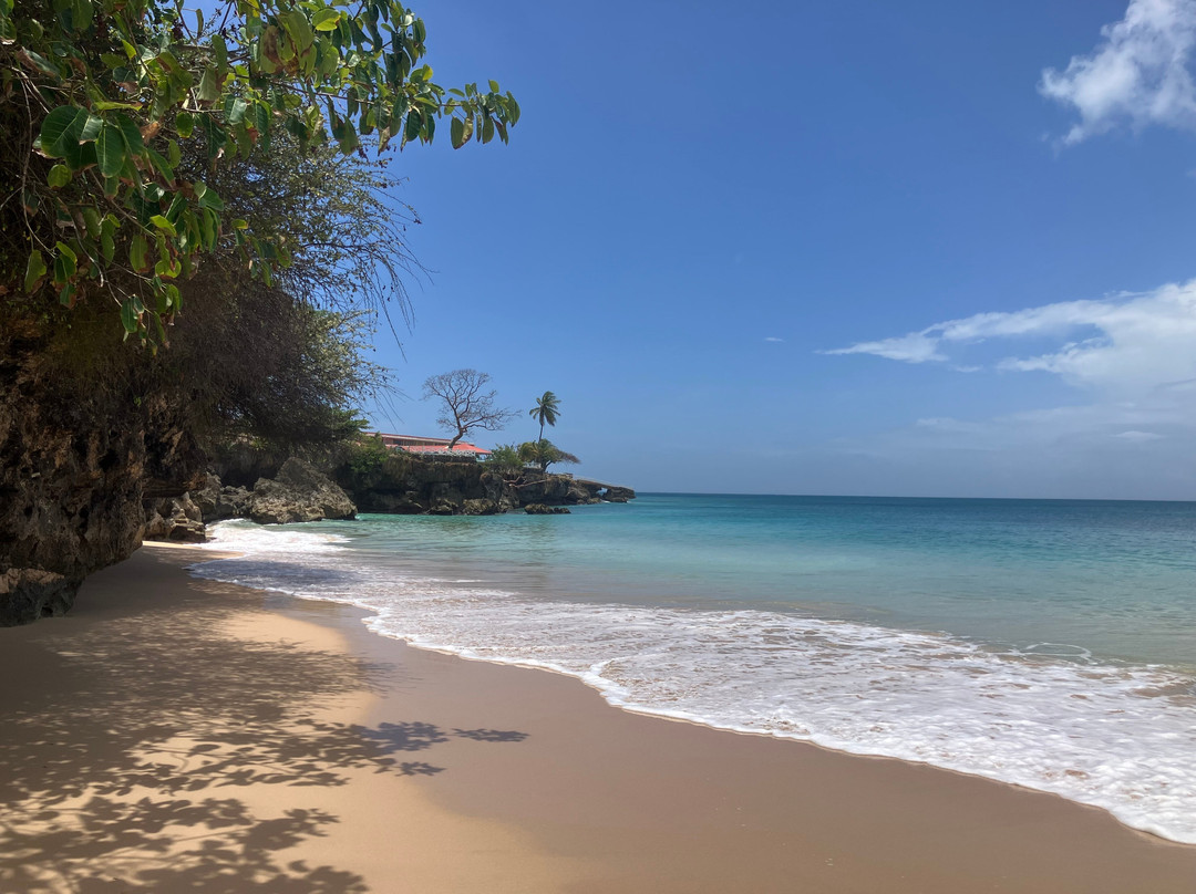 Crown Point Beach Hotel Limited主图