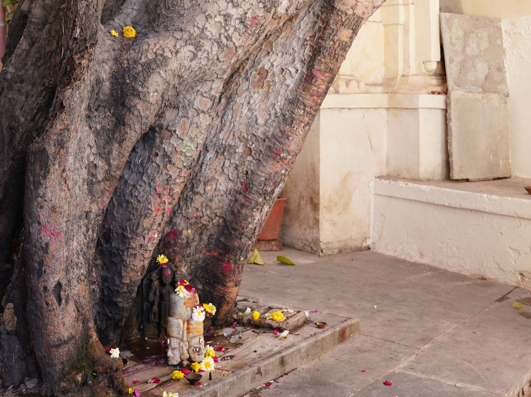 EAZE TOURS-新德里必去景点