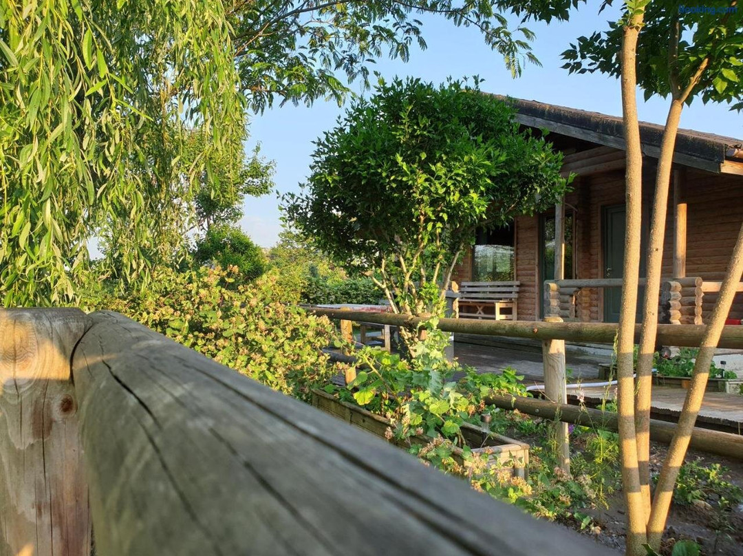 Lake Side - Langa Lac