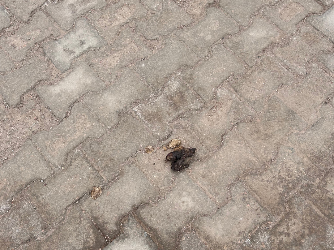 幸福生活村度假酒店主图