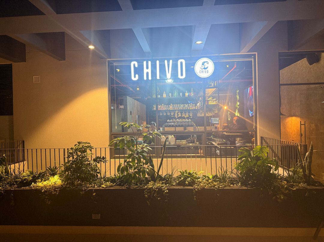 Chivo Pub & Art