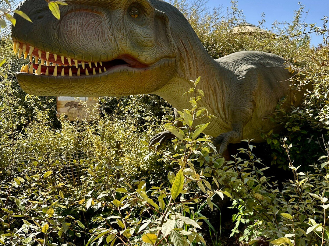 Dinopedia Parcs Provence-La Roque-d'Antheron必去景点