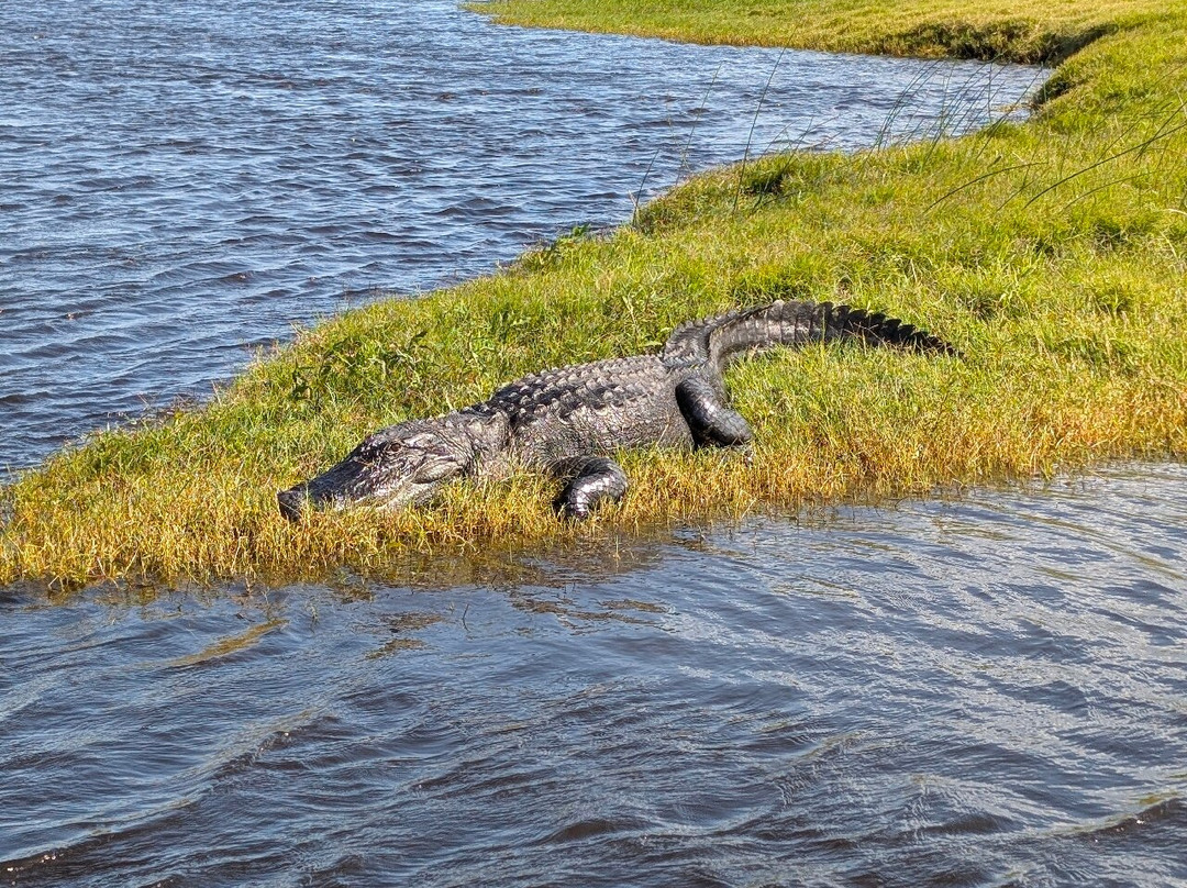 AirBoat Rides at Midway-Christmas必去景点
