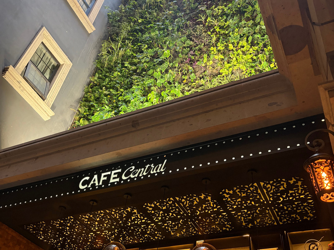 索卡洛中心酒店主图
