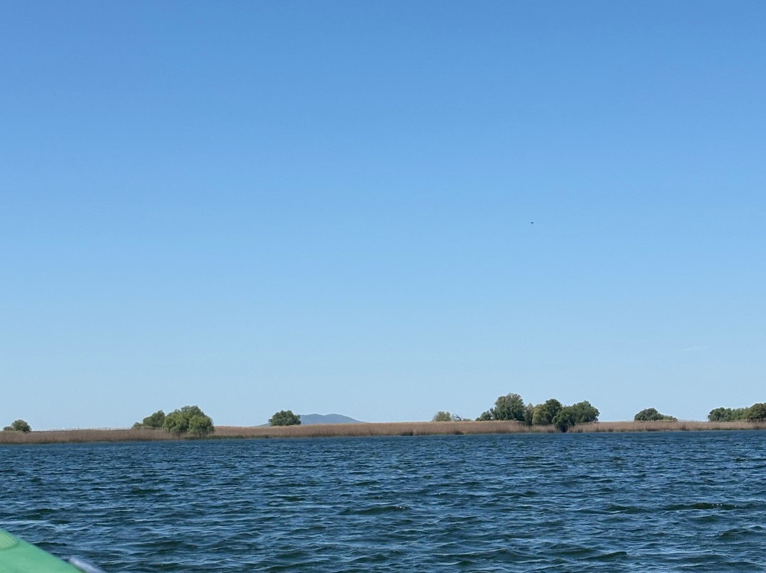 Tours in Delta with John-Crisan必去景点