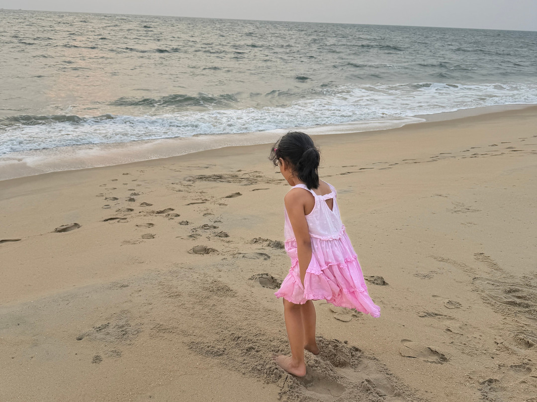 Marari Beach-Mararikulam必去景点