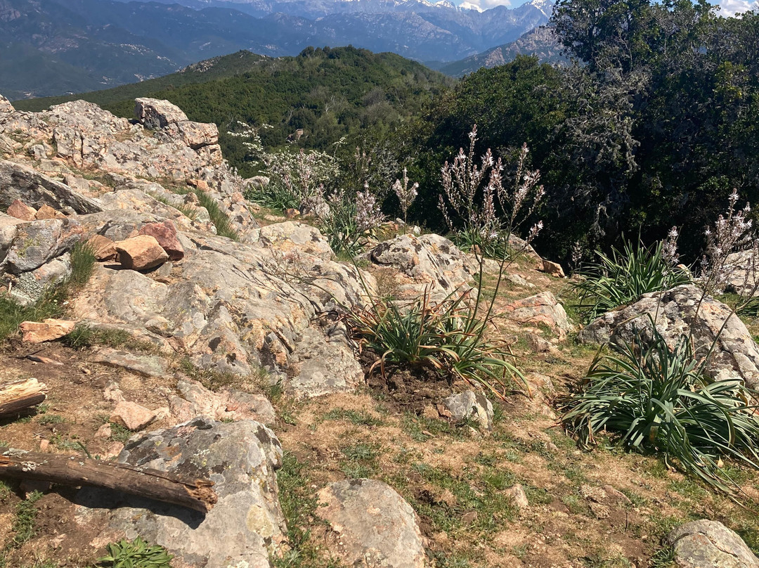 Corsica Natura-Bocognano必去景点