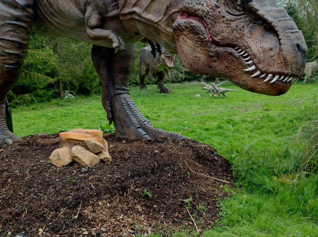 Hoo Zoo And Dinosaur World-特尔福德必去景点