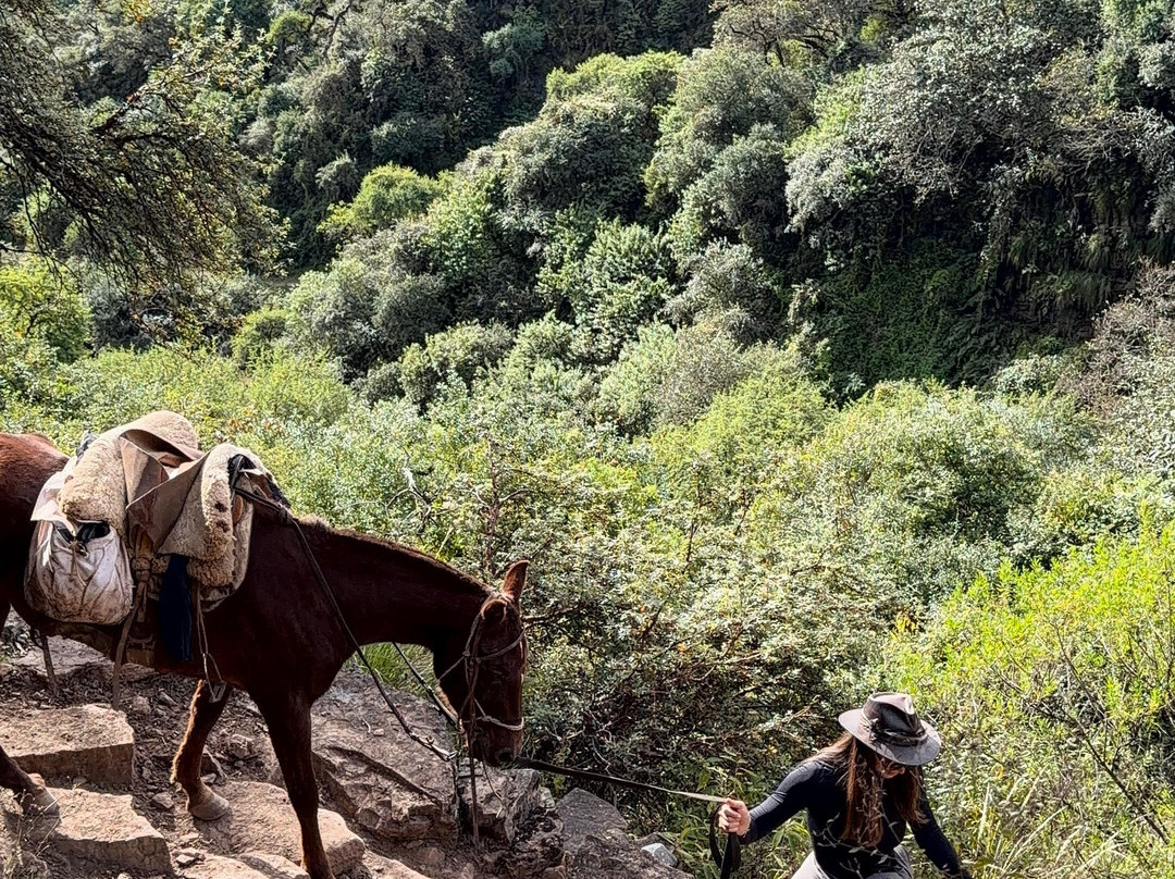 Paraíso De Las Yungas-Valle Grande必去景点