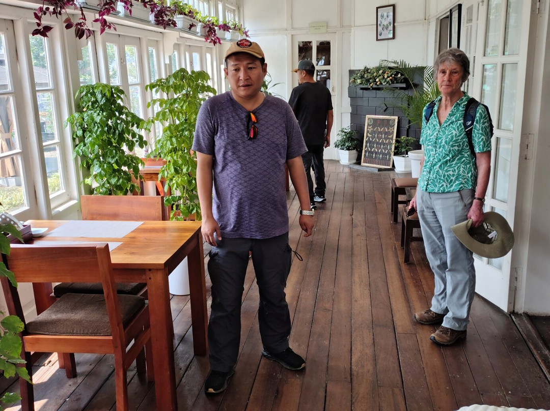 Battle of Imphal Tours-因帕尔必去景点
