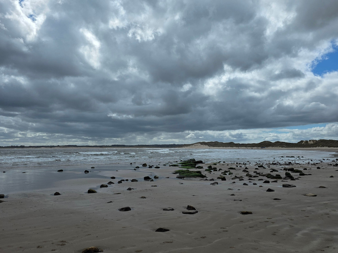 Beadnell Bay Beach-Beadnell必去景点