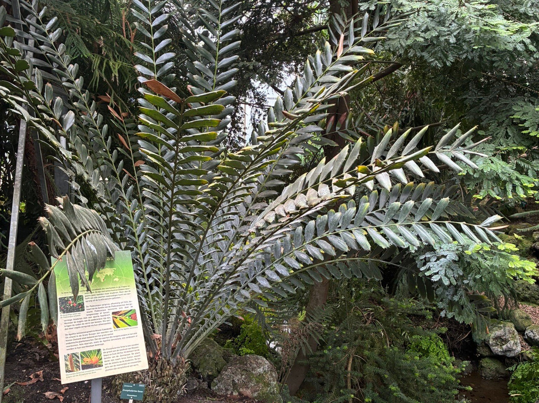 Pinetum Blijdenstein-Hilversum必去景点