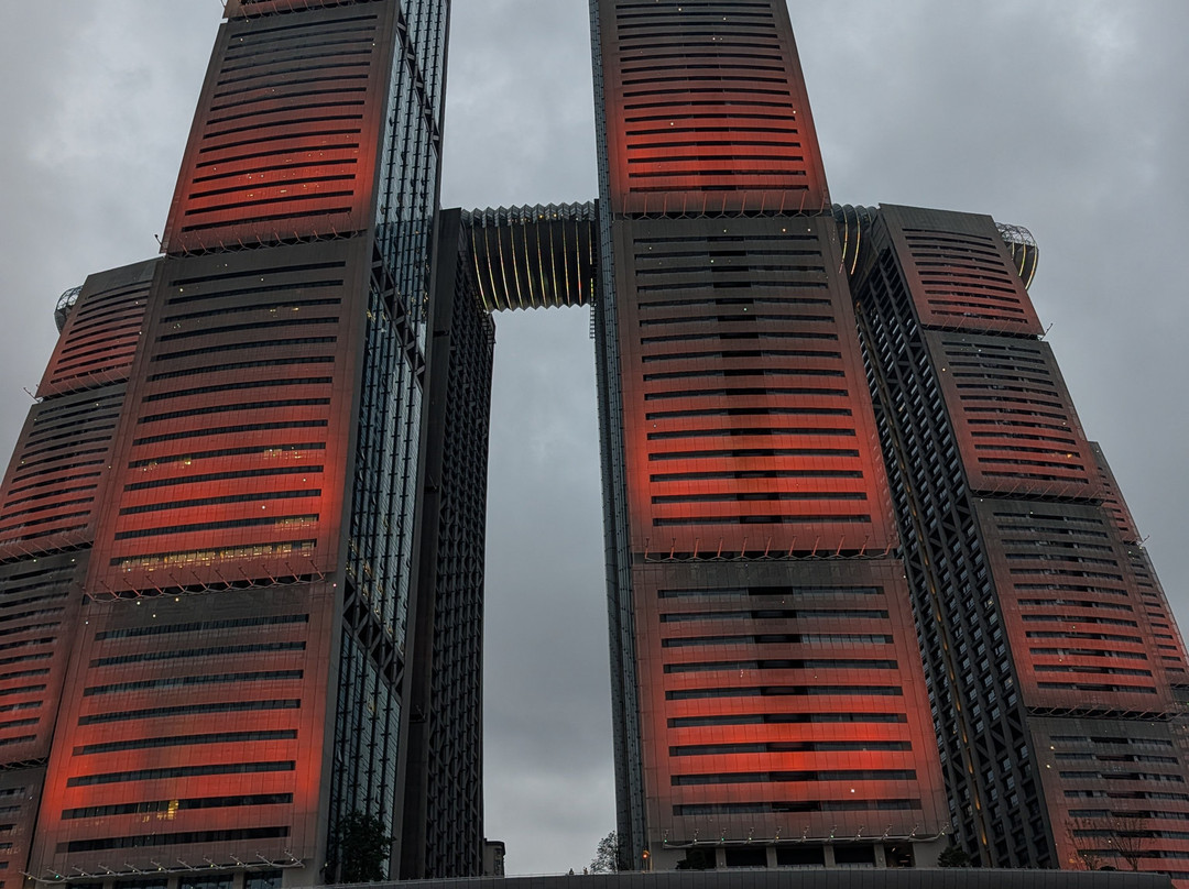 Raffles City Mall Chongqing-重庆市必去景点