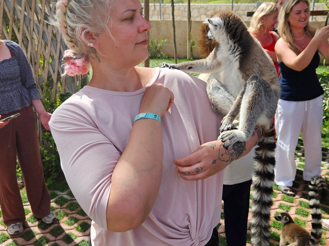 Farma of Rhodes Petting Zoo-罗德斯必去景点