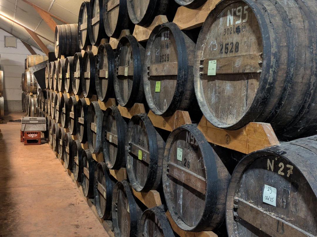 Distillerie des Menhirs-Plomelin必去景点