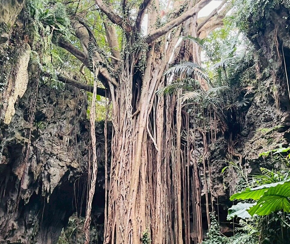 Gangala山谷-南城市必去景点
