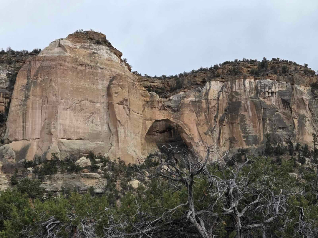 La Ventana Natural Arch-Grants必去景点