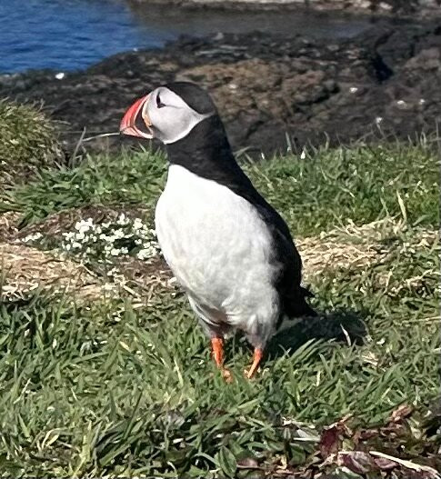Hebridean Adventures-奥本必去景点
