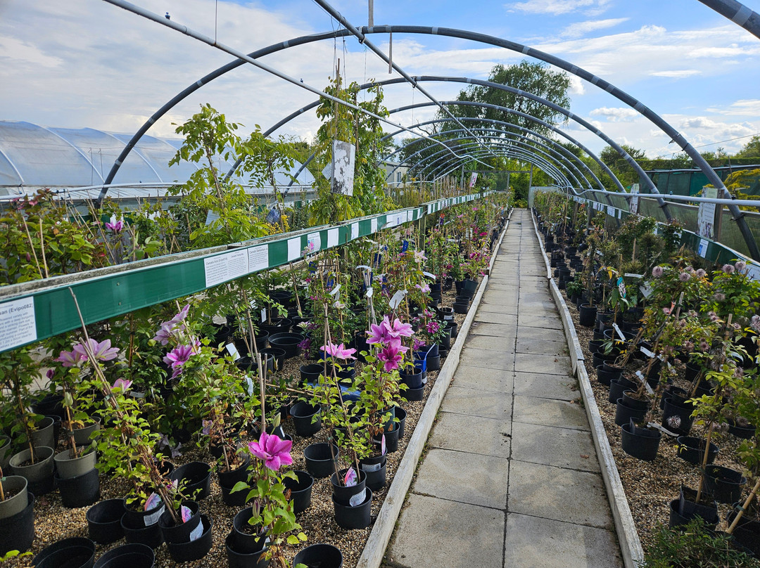 Langthorns Plantery-Little Canfield必去景点