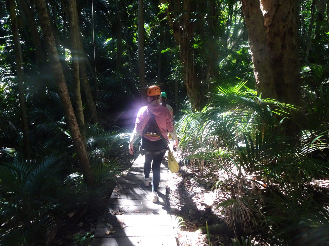 Ecozip Adventures Waiheke Island-欧尼罗亚必去景点