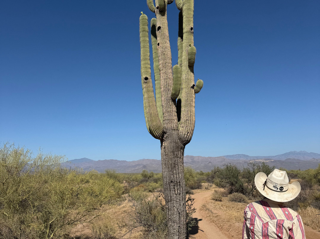 Cave Creek Trail Rides-洞溪必去景点