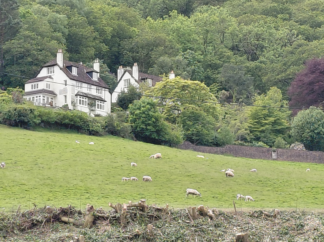 Porlock Weir Beach-Porlock Weir必去景点