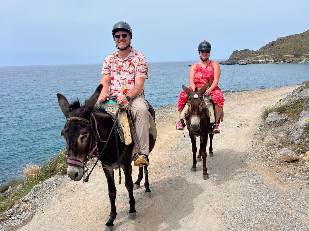 Plakias Horse Riding Center-Plakias必去景点