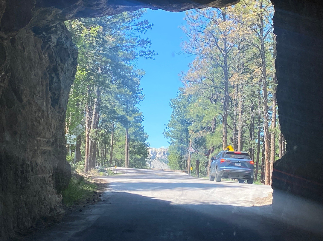 Black Hills National Forest-卡斯特必去景点