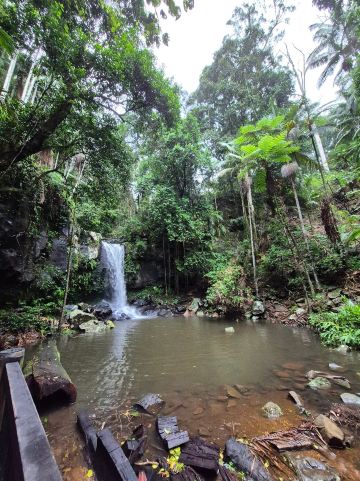 大树汽车旅馆-旅行者