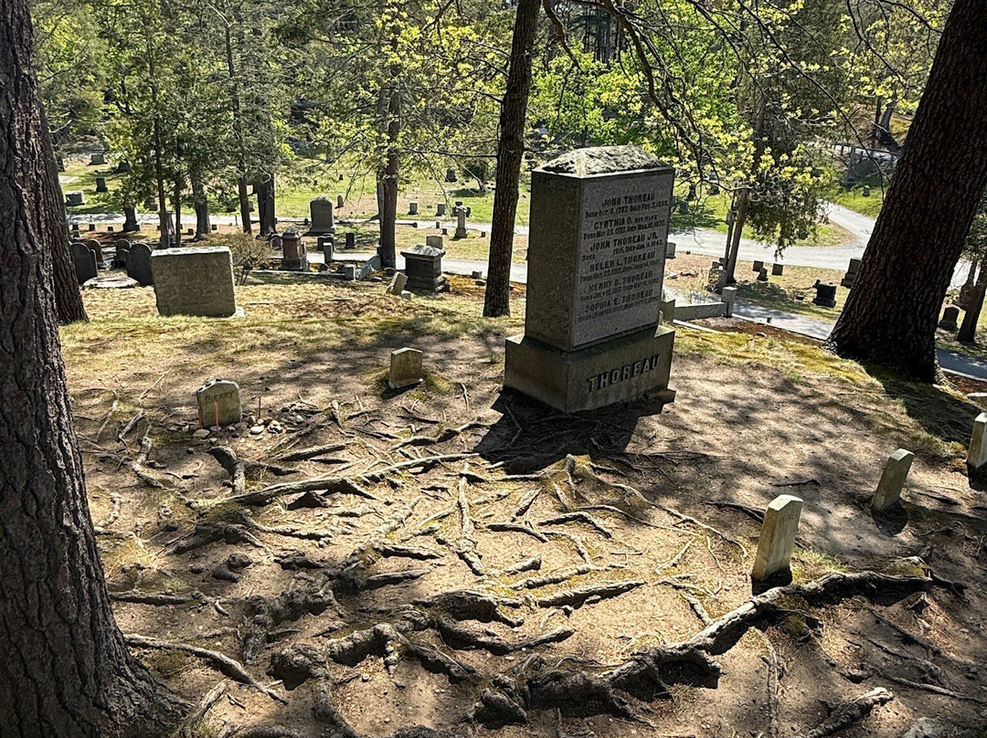 Sleepy Hollow Cemetery-康科德必去景点