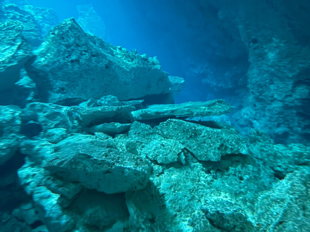Dressel Divers - Barceló Maya Riviera-Barcelo Maya必去景点