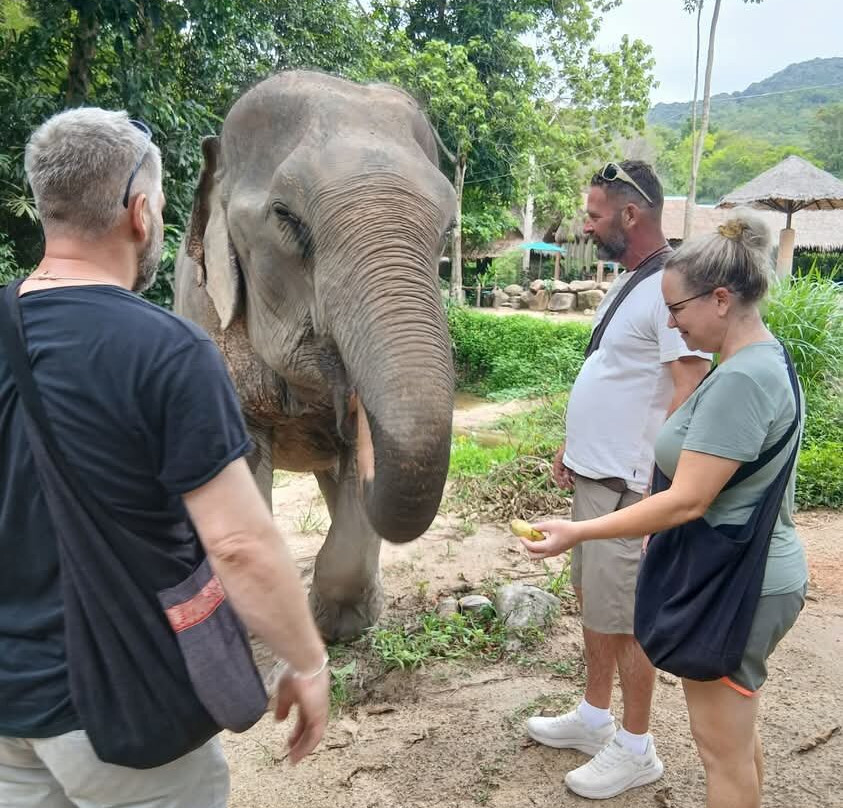 Phangan Elephant Sanctuary-帕岸岛必去景点
