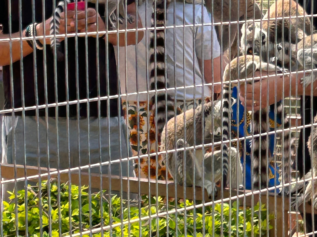 Pafos Zoo-帕福斯必去景点