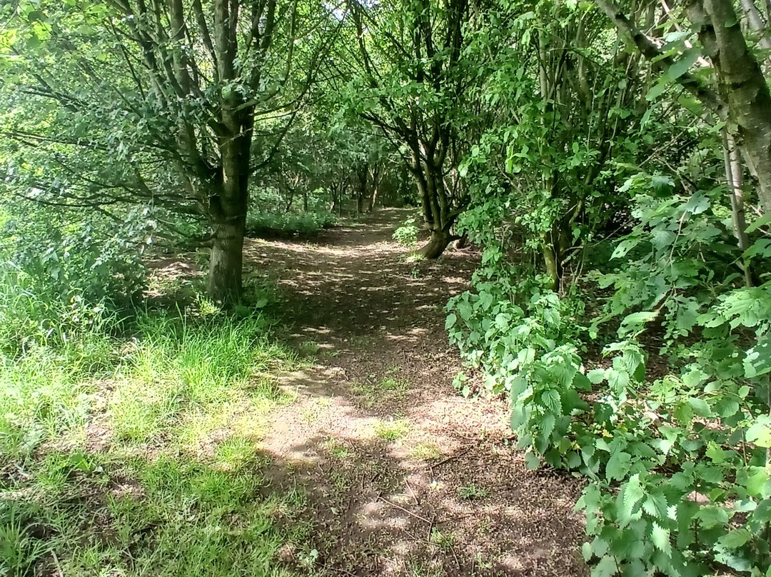 Cotebrook Shire Horse Centre-Cotebrook必去景点
