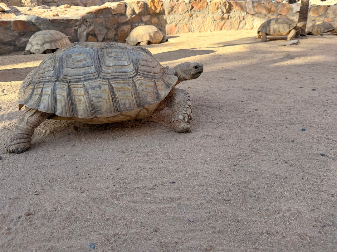 Hurghada Grand Aquarium-赫尔格达必去景点