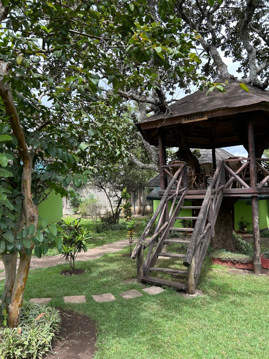 趣味度假屋度假村 - 阿育吠陀 Spa 酒店-旅行者