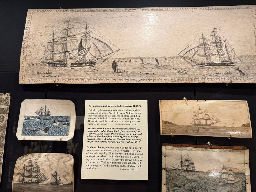 New Bedford Whaling Museum-新贝德福德必去景点