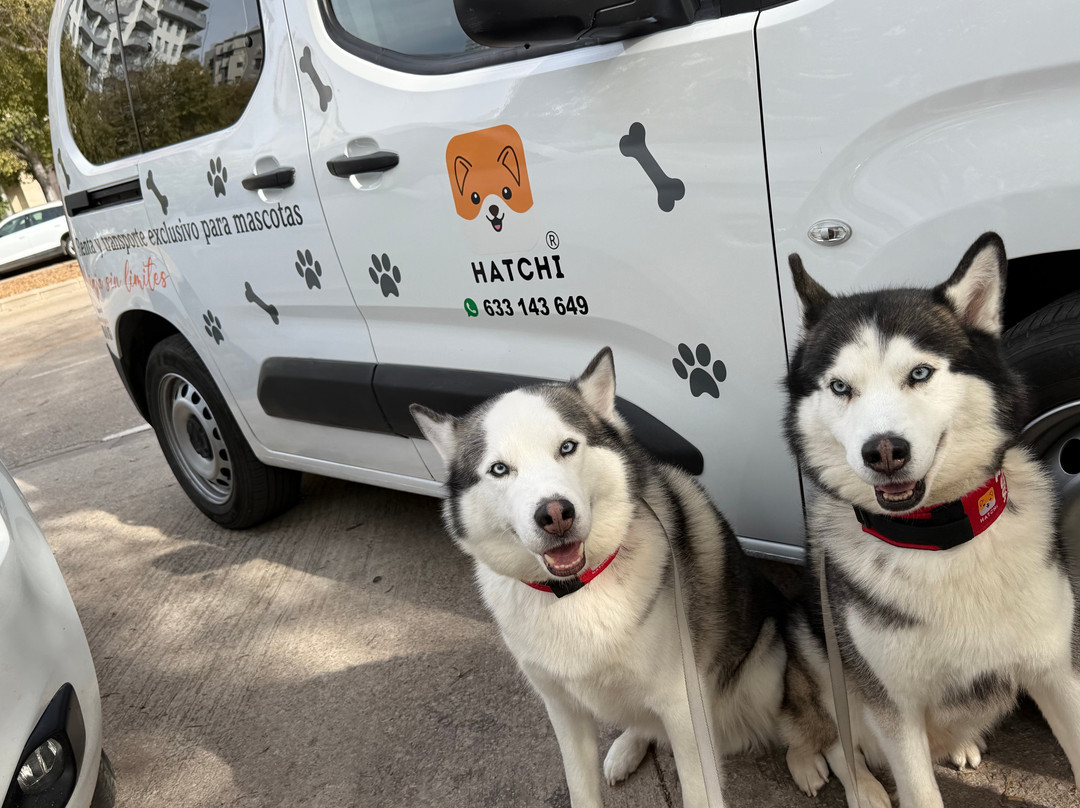 Hatchi - Transporte de mascotas-Valencia d'Aneu必去景点