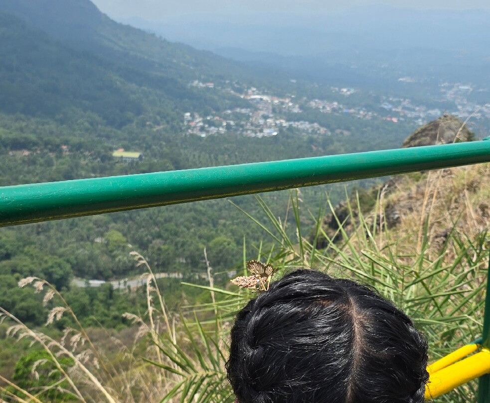 Needle Rock View Point-Gudalur必去景点