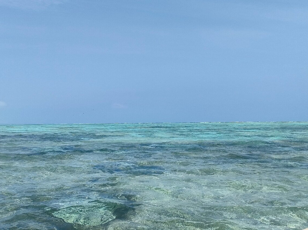 Pwani Mchangani Beach-Pwani Mchangani必去景点