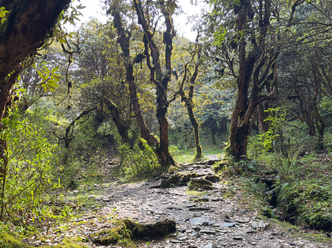 Adventure Himalaya Circuit Treks and Tours - Private Day Tours-加德满都必去景点