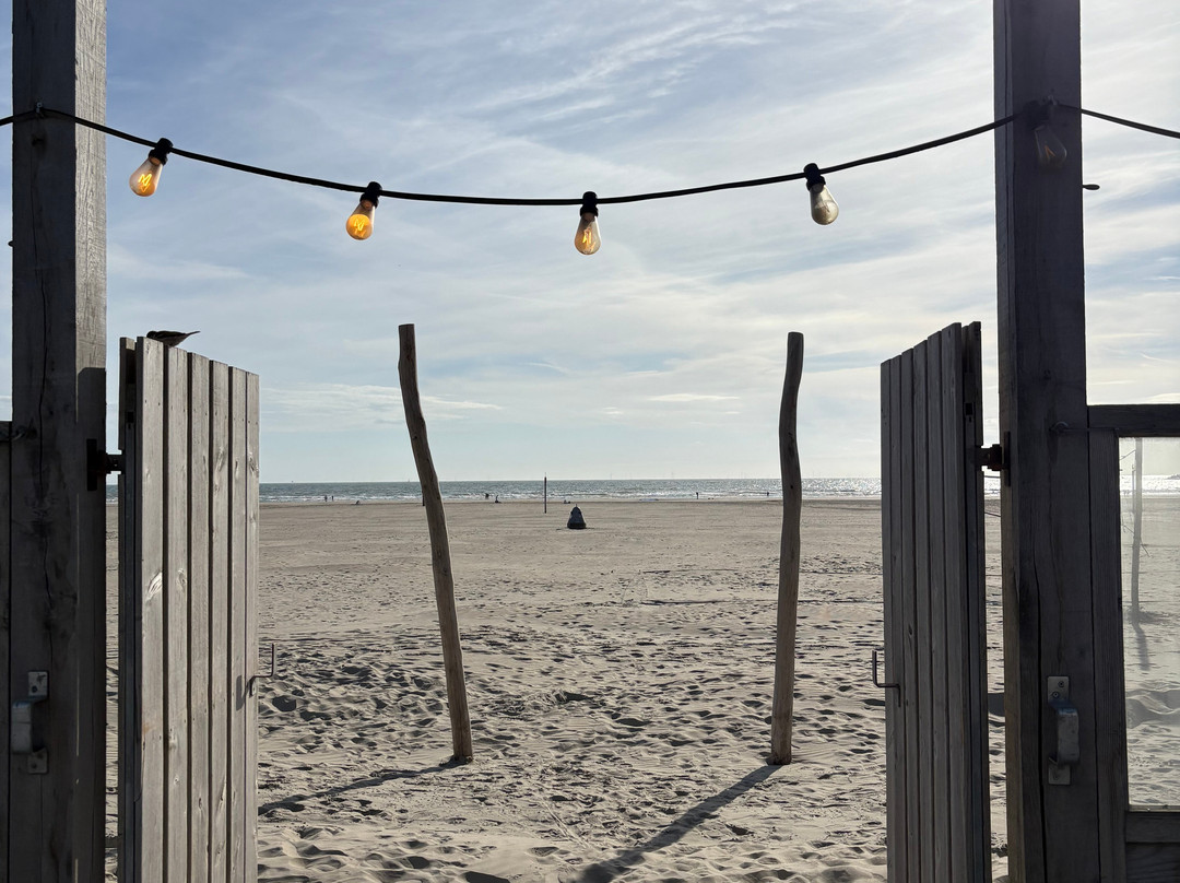 Basecamp IJmuiden主图