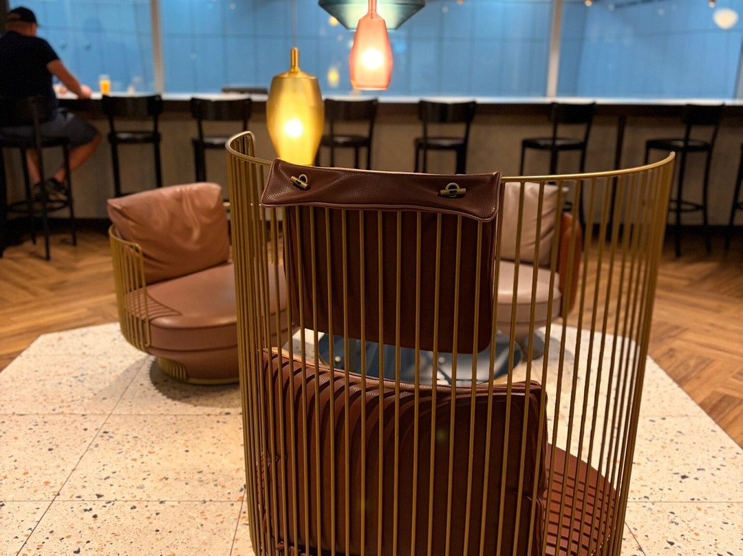 Aspire Lounge at Zurich Airport-奥普菲孔必去景点